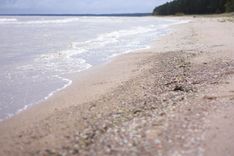 Apsekotas Latvijas oficiālās peldvietas