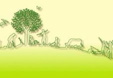 Pagalmu sakopšanas svētki