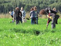 Ķemeru Nacionālajā parkā 5 hektāru platībā izmēģina bioloģiski vērtīgas pļavas atjaunošanu