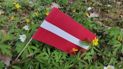 Sveicam valsts svētkos!