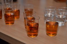 Mājsēdes laikā brauc dzērumā