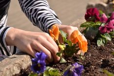 Šodien sāk reģistrāciju skolēnu nodarbinātībai