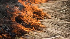 Degot kūlai, nodeg šķūnis Sēmes pagastā