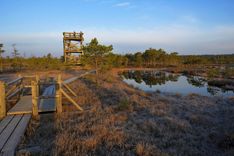 Ķemeru Nacionālā parka Ceļotāju dienās vēros putnus un krāsos purvu