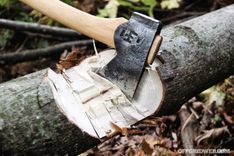 Visu ko sola, bet par kokiem aizmirst