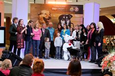 «Atbildības dienā» patversmes dzīvniekiem saziedoti 33 238 lati