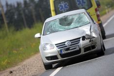 Kārtējā sadursme ar meža zvēru...