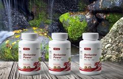 Berberīns – Noslēpums Labākai Pašsajūtai