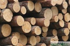 Policijas ziņas (24. oktobris)