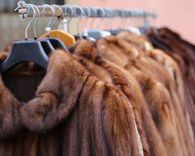 Lapmežciemā uzdarbojas zagļi!