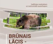 Kā noteikt lāča klātbūtni mežā – vadlīnijas medniekiem un mežstrādniekiem