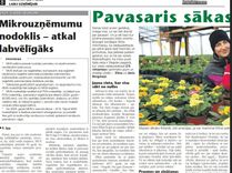 Pavasaris sākas ar ziedu smaržu...