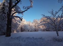 Ziemassvētku satikšanās Ķemeru Nacionālajā parkā