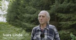 «Sakoptākais mežs 2025» finālā – Tukuma novada saimnieki