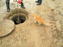 Vai māja nodega nestrādājoša ugunsdzēsības hidranta dēļ?