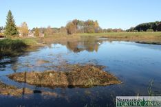 Kāpēc Veļķos atkal nolaida Čigānu ezeru?