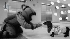 Kino, māksla un pasākumi ģimenēm nedēļas nogalē