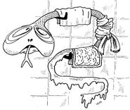 No novembra jāmaksā par karstā ūdens cirkulāciju