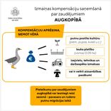 Izsniegta 41 atļauja zosu letālai atbaidīšanai