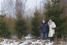 Mežs – tie nav tikai koki