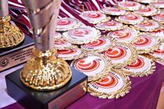 Kyokushinkai karatē meistari pulcēsies Kandavā