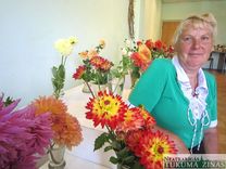 Dāliju ziedu varavīksne Bišu māja