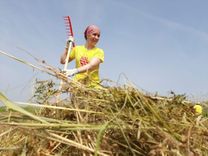 Atsākušas talkas dabā, to skaitā pie Kaņiera ezera