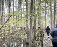 Baudi rudeni Tukuma puses dabas takās