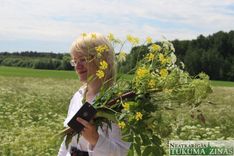 Dunduru pļavu Jāņu zāles