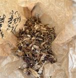 Turpina atjaunot dabiskos zālājus Ķemeru Nacionālajā parkā