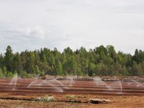 Dzērveņu purvi ne tikai ogām