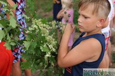 Vislatvijas ugunskuru diena Džūkstē
