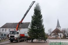 Tukuma egle šogad – garākā pēdējo 11 gadu laikā /FOTO/