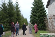 Tukuma lielā Ziemassvētku egle šogad būs no Tumes pagasta «Mazbērziņiem» 