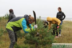 Rīt, 27. septembrī Engurē būs seminārs par Pelēko kāpu