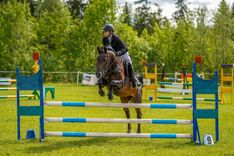 «Lejniekos» aizvadīts piemiņas kauss jāšanas sportā