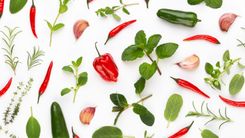 Garšaugu izstādes Dabas muzejā