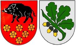 Vāks parakstus par Kandavas novada atjaunošanu