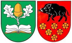 Kandavas novada ģerboņa jaunajā versijā – grāmata un ozolzars ar zelta zīli