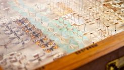 Dabas muzejā – ģimenes diena