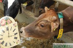 Šonakt pulkstenis jāpagriež par stundu uz priekšu