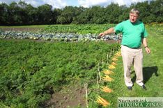 Par dārzeņaudzētāju problēmam un jaunumiem