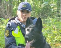 Dienesta suns Hanters veiksmīgi atrod mežā apmaldījušos sēņotāju