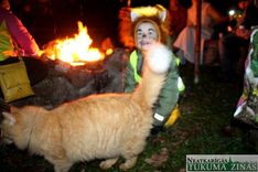 Kā Kandavā Helovīnu atzīmēja/FOTO/