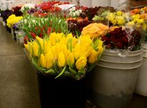 Vairākos ziedu veikalos neizsniedz čekus vai arī neizmanto kases aparātus vispār 