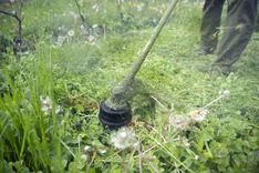 Diez, vai plūdos arī pļautu?!