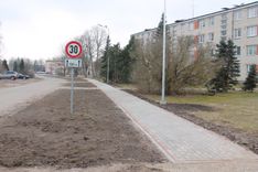 Kāpēc par Valteru ielas kokiem neaprunājās?