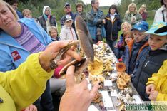 Sēņotāji pulcējās „Ezermalās”