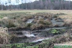 Nepiekļūstot attīrīšanas iekārtām, «Unda» zivju taukus izgāž pļavā