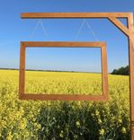 Aicina fotografēties pie rapšu lauka